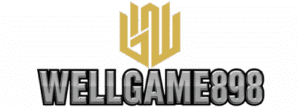 wellgame898 logo
